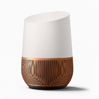 Google Home-Assistant