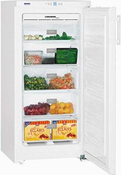 Liebherr GNP 1913   Gefrierschrank (ohne Kühlfach) - 

						 mittelgroß -   

						freistehend  

						